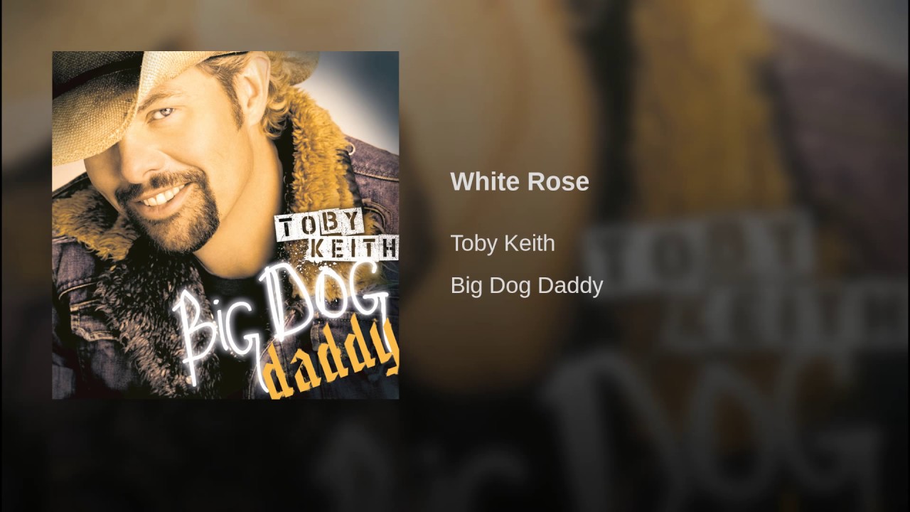 White Rose” song by Toby Keith