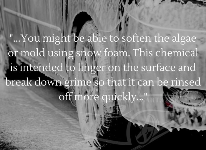 Apply Snow Foam