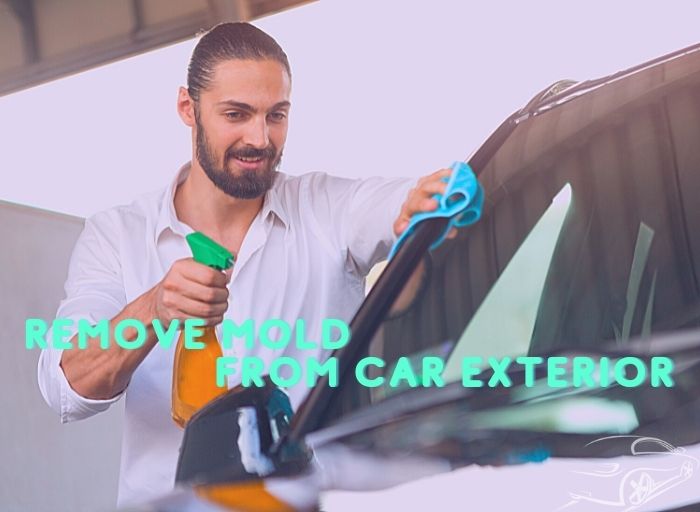 How to Remove Mold From Car Exterior