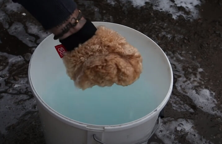 Soak your cleaning mitt in the bucket